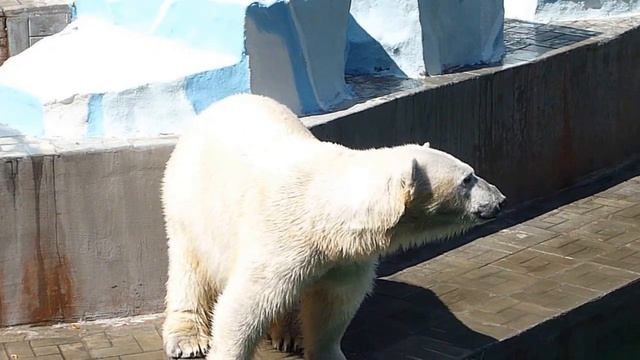 P1020710 смотреть онлайн