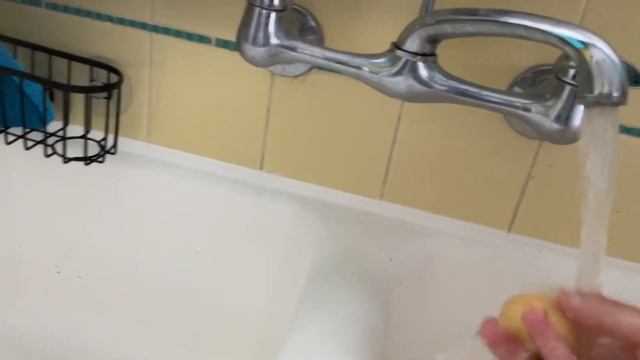 Готовлю брокколи суп для моей морской свинки