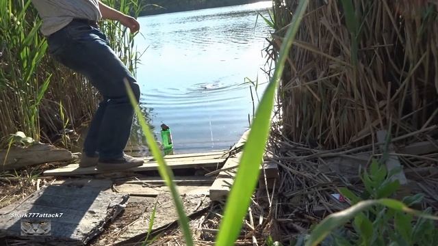 Ловля карпа и щуки на маховую удочку.2022.. смотреть онлайн