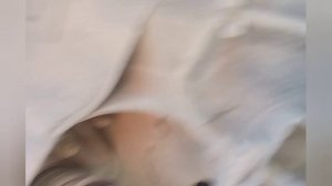 Ниссан Мурано z50 замена заднего амортизатора.