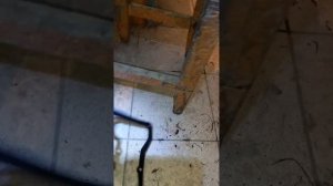 замена прокладки крыши клапанов Нива 2121