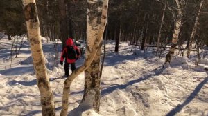 Национальный парк Таганай Зимой | Двуглавая сопка | Златоуст | Тур выходного дня