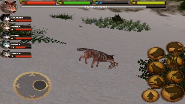 Ultimate Wolf Simulator - High Level - Android/iOS - Gameplay смотреть онлайн