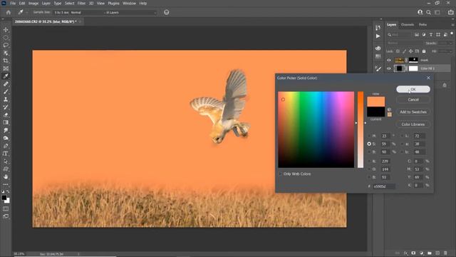 EASILY EDIT Bird photography with photoshop | wildlife photo editing, смотреть онлайн