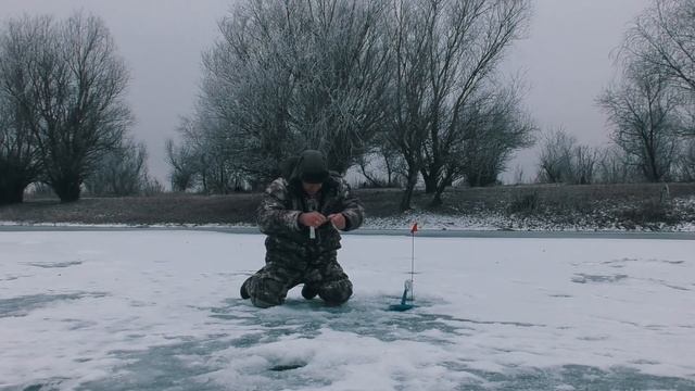 ЩУКА на ЖЕРЛИЦЫ. Сработка на камеру. В ожидании трофея. Рыбалка в Астрахани. смотреть онлайн