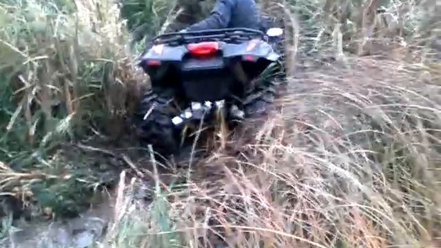 Покатушки 06-10-2012 смотреть онлайн