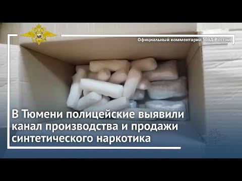 Ирина Волк: Сотрудники ГИБДД Тюменской области выявили факт перевозки крупной партии наркотиков смотреть онлайн