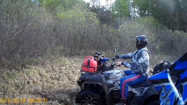 Что случилось с деревом? Квадропокатушка смотреть онлайн