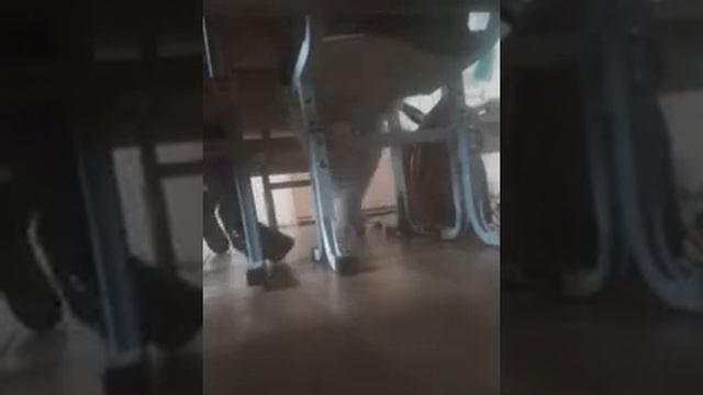 Скрытая камера в школе!? смотреть онлайн
