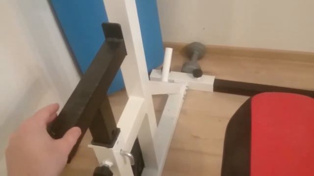 Особенности при выборе спортивного инвентаря в домашний спрот зал смотреть онлайн