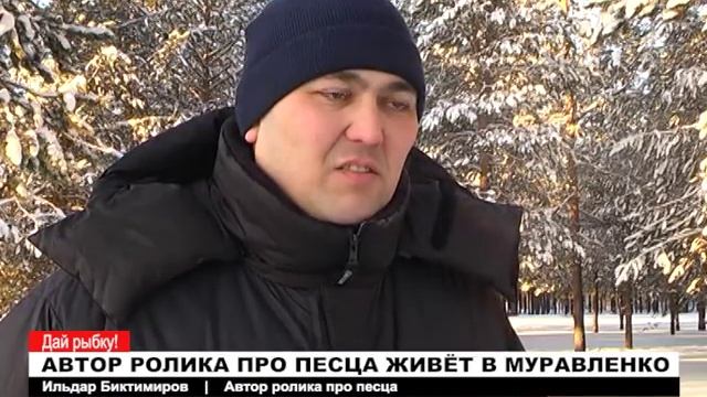 Автор ролика про песца живёт в Муравленко смотреть онлайн