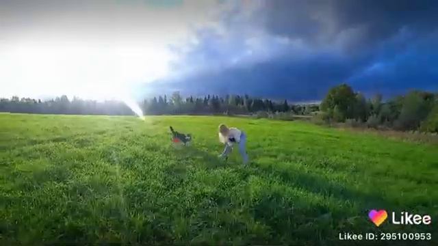 ЛАЙКИ ДИАНА ДИ ШОККОНТЕНТ В ЛАЙКИ смотреть онлайн
