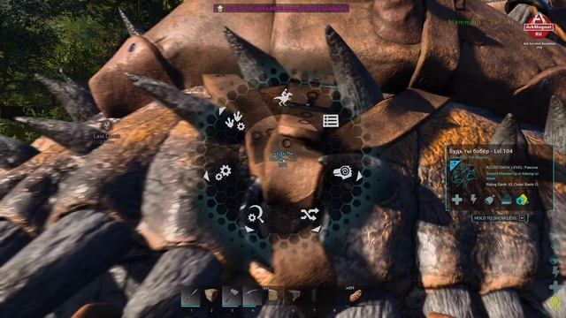 Ark Survival Ascended PvE — Первые дино. Первая база. Жизнь без криокапсул. Часть 4 смотреть онлайн