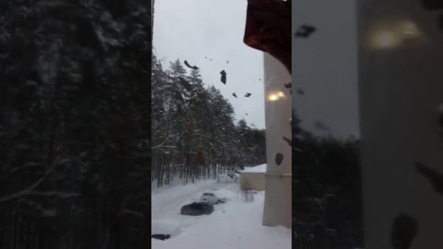 Моем окна салфеткой для стекла от #greenway смотреть онлайн