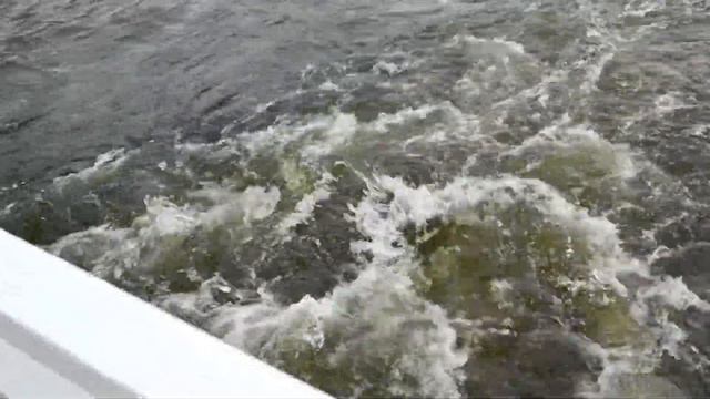 Экскурсия по Петербургу на жестовом языке смотреть онлайн