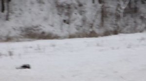 Акура МДХ в снегу