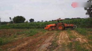 Мини трактор для домашнего хозяйства. Мини-трактор для фермера. Что выбрать?