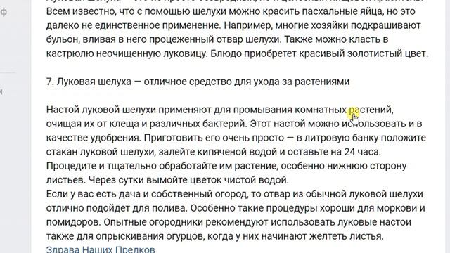 Луковая шелуха для здоровья и другого. Варить её или нет? Польза смотреть онлайн