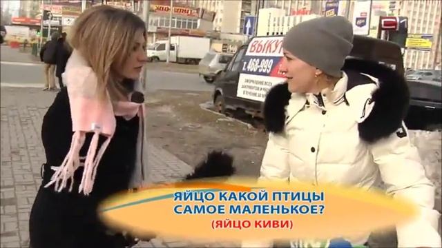 Катет гипотенуза смотреть онлайн
