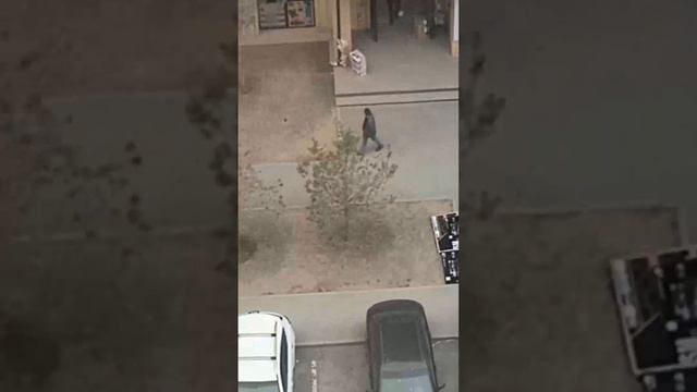 А руководителя компании арестовали и обвинили в организации пирамиды,а товары растаскивают. смотреть онлайн