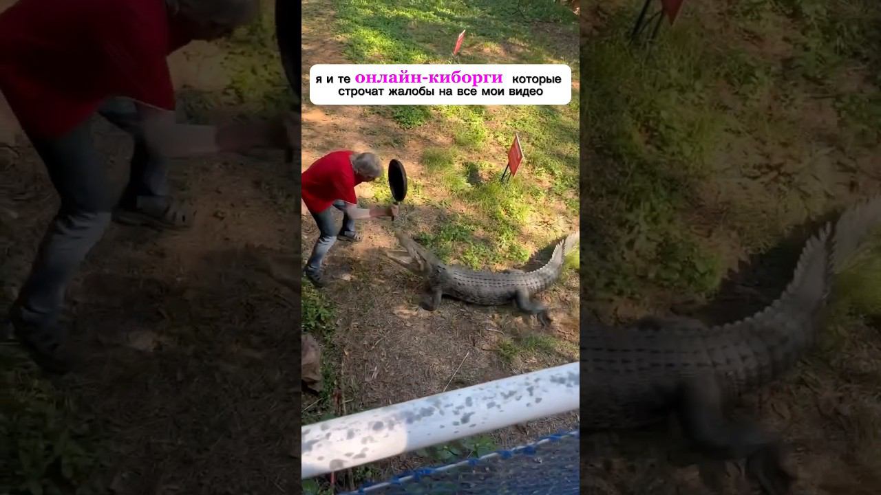 Не потеряли еще меня? А я живее всех живых) смотреть онлайн