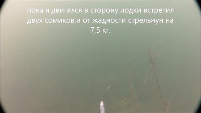 Охота на сомов! смотреть онлайн