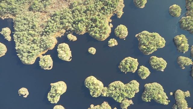 Самый загадочный водоём Нижнего Тагила. Озеро Бездонное (Исинское) | Ураловед смотреть онлайн