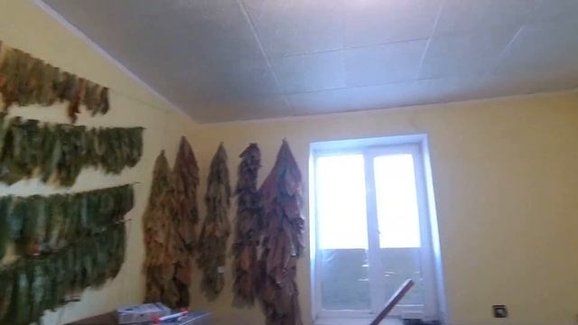 не хотят сохнуть листья на улице смотреть онлайн