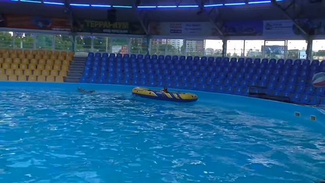 Киев Дельфинарий "Немо" Катаемся на лодочке смотреть онлайн