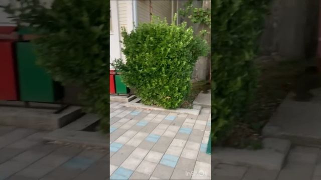 «ВДЦ Орлёнок» лагерь Солнечный. Обзор синих крабов ? по территории Солнечного. смотреть онлайн
