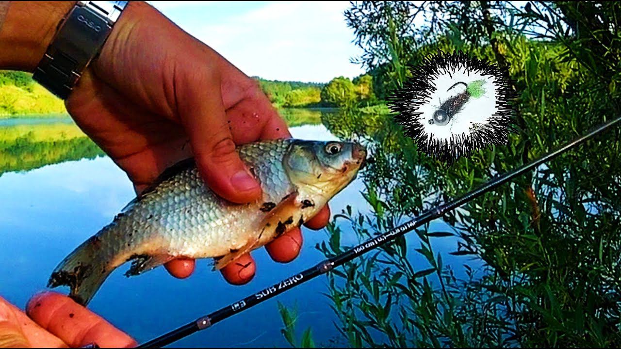 Говорили Хищной РЫБЫ тут НЕТ. Взял CF Sub Zero и ПОЙМАЛ. мормышинг смотреть онлайн