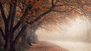 Весело  Грустно  Бетховен