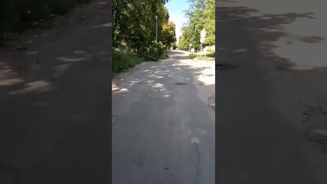 Мусор в центре Николаева смотреть онлайн