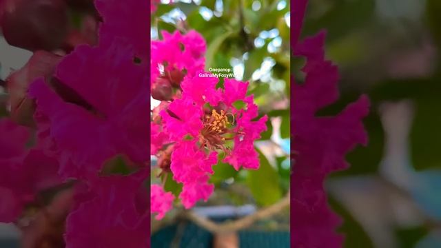 Просто хорошая песня для тебя #любимому #любимой #2023 #shorts смотреть онлайн