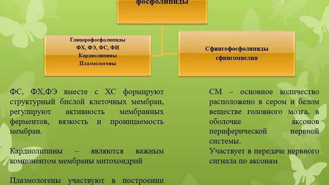 Лекция 2.1_Модуль 2. https://dpo.dvfu.ru/nutritionology смотреть онлайн