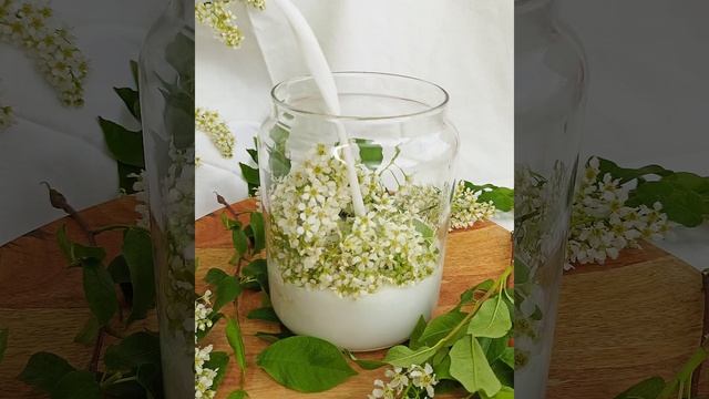 Подготовка к приготовлению мыла на черёмухе с кокосовым молоком смотреть онлайн