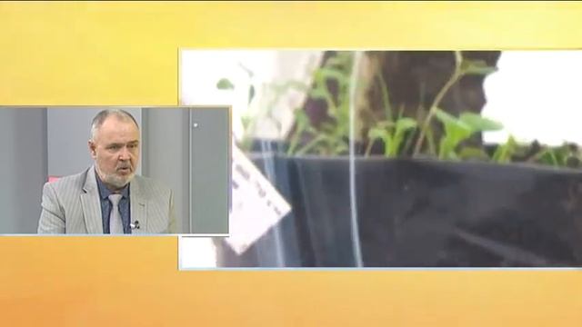 Табачные шашки "Гефест" смотреть онлайн