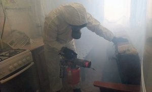 Обработка квартиры горячим туманом от постельных клопов.