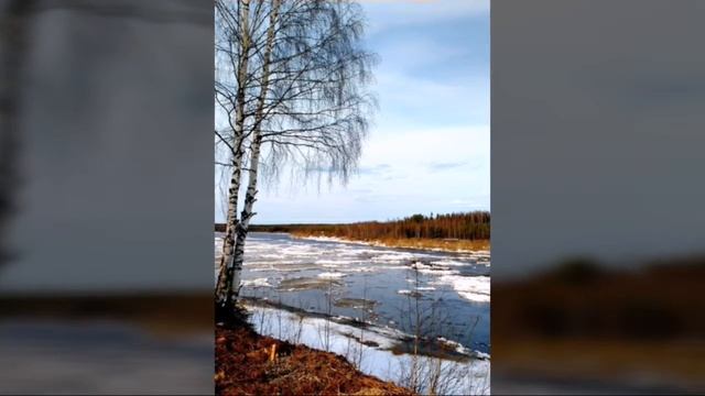 Коми Край и его красота приРОДы смотреть онлайн