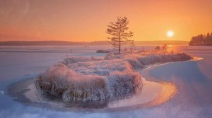 Футаж. Зимний пейзаж 68