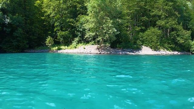 Абхазия. Рыбалка на Рице. 20.06.2018 г. смотреть онлайн