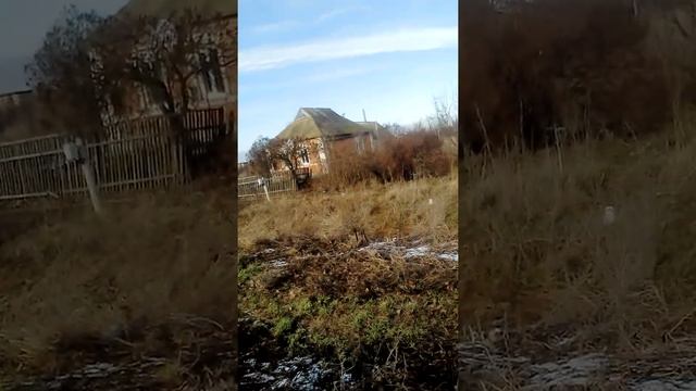 Воробьиная стая, январь Юг Украины. смотреть онлайн