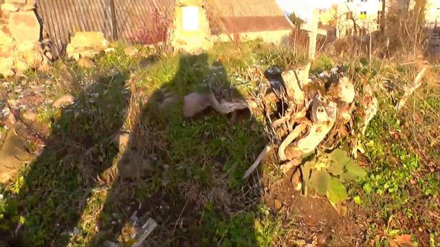День в Слониме. Дороги большие и маленькие . Вып.1 смотреть онлайн