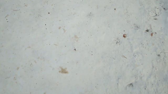 Босиком по снегу'20) 18.11.19.