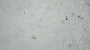 Босиком по снегу'20) 18.11.19.