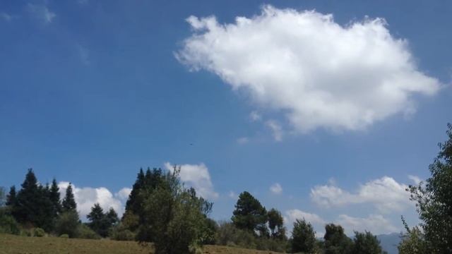 22 de julio de 2018 смотреть онлайн