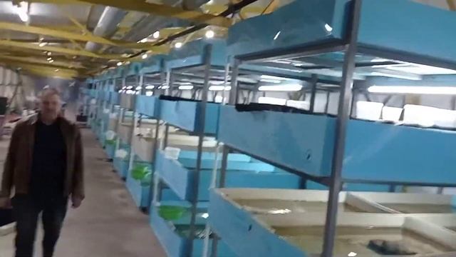 раковая ферма смотреть онлайн