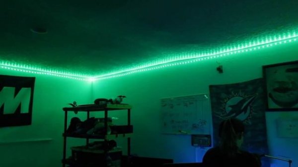 Transforming my Garage for Only $20! (Amazon LED Color Changing Lights)