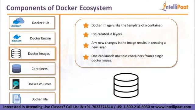 What is Docker and How it Works | Docker Explained | Docker For Beginners | Intellipaat смотреть онлайн