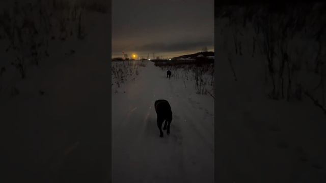 Как были они друзьями с рождения- так и остались 🥰 смотреть онлайн